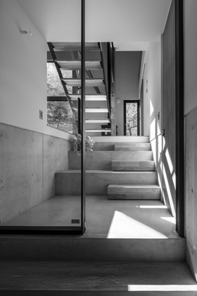 ネコと器と暮らす家