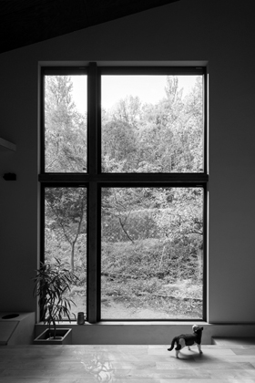 ネコと器と暮らす家