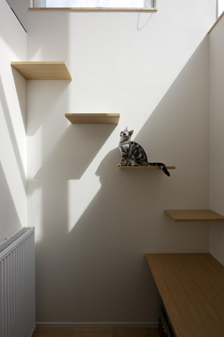 猫階段のある家